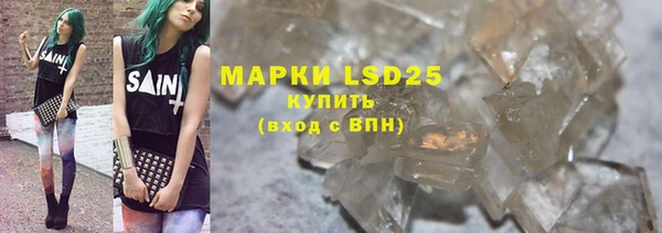 прущие грибы Абаза